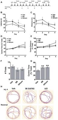 Disparate Effects of Lithium and a GSK-3 Inhibitor on Neuronal Oscillatory Activity in Prefrontal Cortex and Hippocampus